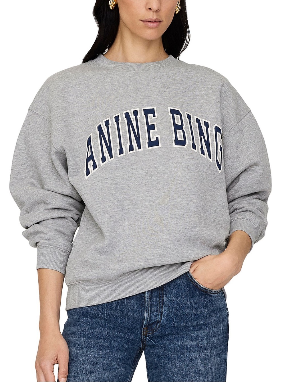NWT Anine Bing Spencer Sweatshirt Size XS